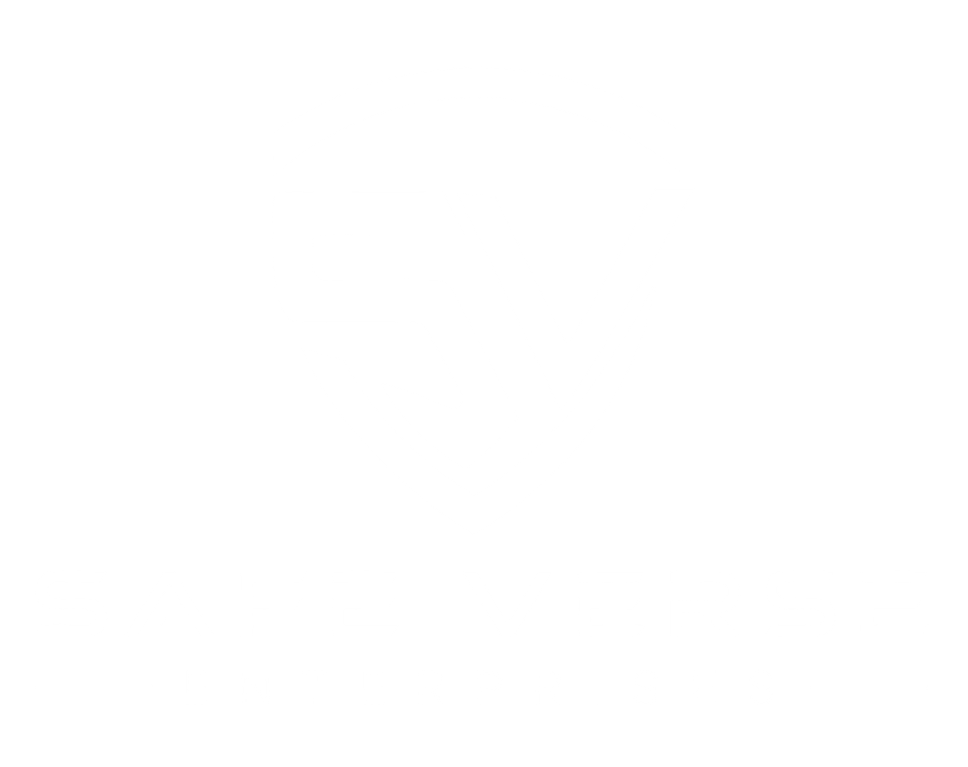 SafeVerse Enterprises logo